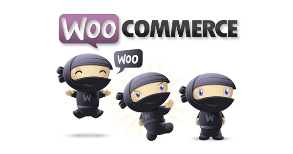Download WooCommerce eCommerce Plugin